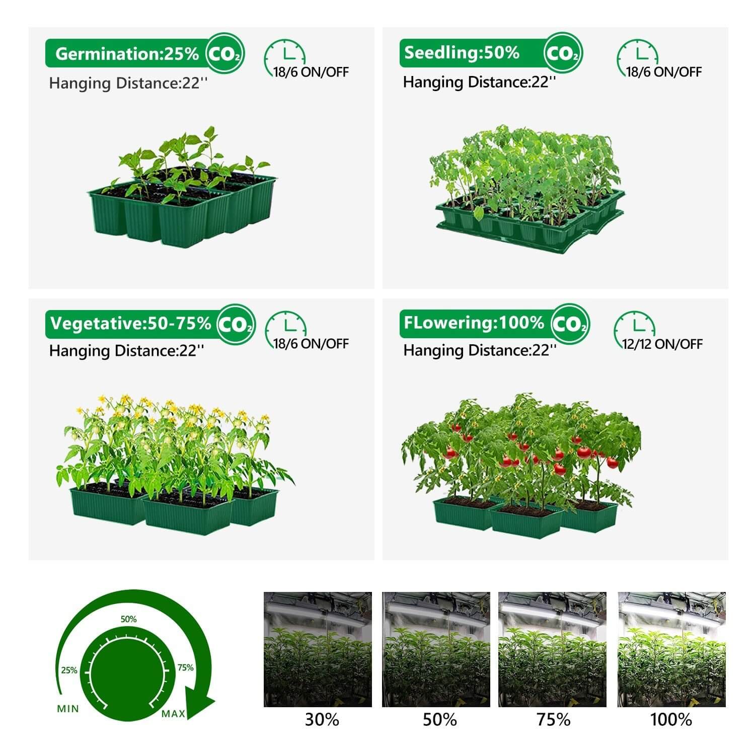  Mars Hydro Komplettset SP 3000 Samsung Grow Kit 